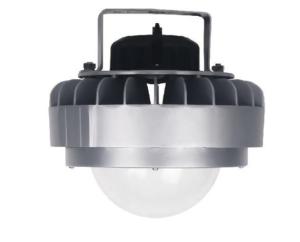 China Warehouse Explosion Proof Drop Light / Explosion Proof Flood Light 80W 100W wholesale