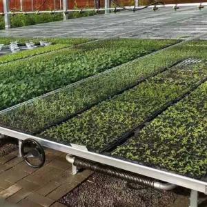 China Silver Custom Greenhouse Benches Movable Seedling Bed Rolling Breeding wholesale