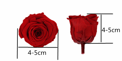 Long Time Using Dried Rose Heads , Allergy - Friendly Floral Head Wreath