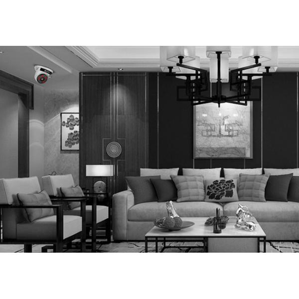 Hidden Dome AHD Security Cameras For Home IP67 30M IR Distance