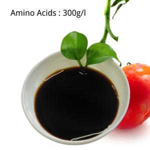 China Vegetal Origin Amino Acids Liquid Fertilizer 300g/L Foliar Fertilizer For Plants wholesale