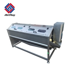 Professional Vortex Type Commercial Fruit and Vegetable Washing Cleaning Machine
