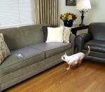 PVC material ultrasonic cat training mat static High static dog cat sofa