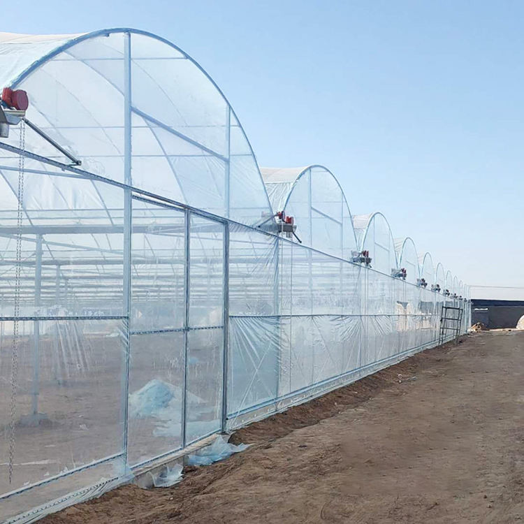 Outdoor Farming Multi-span Agricultural Vegetable Berry Film Poly Tunnel Greenhouse