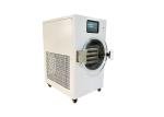Compact PLC Control Home Freeze Dryer Food Preservation Made Simple