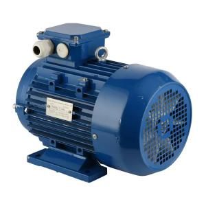 China Double Cage Rotor Induction Motor wholesale
