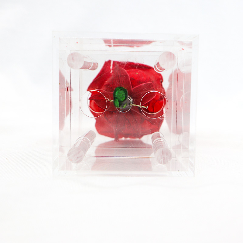 Wedding / Party Decoration Preserved Rose Flower With Long Stem