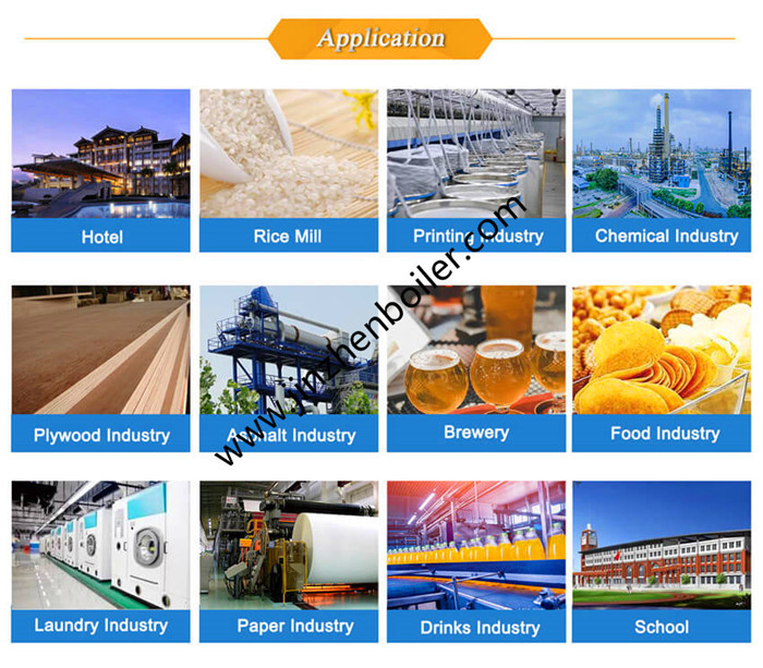4 Ton 4000kg Industrial Biomass Boiler Coal Fired Steam Boiler For Autoclave Steam Sterilizer