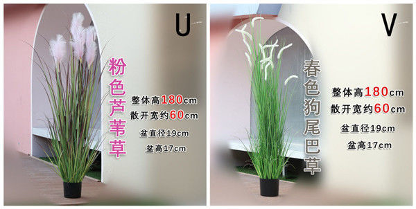 Durable Artificial Bonsai Tree Plush Fiber Silk Fabric Aloe Dog Tail Onion Grass / Plastic Flower Pot