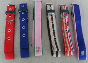 China dog collar w/printing wholesale