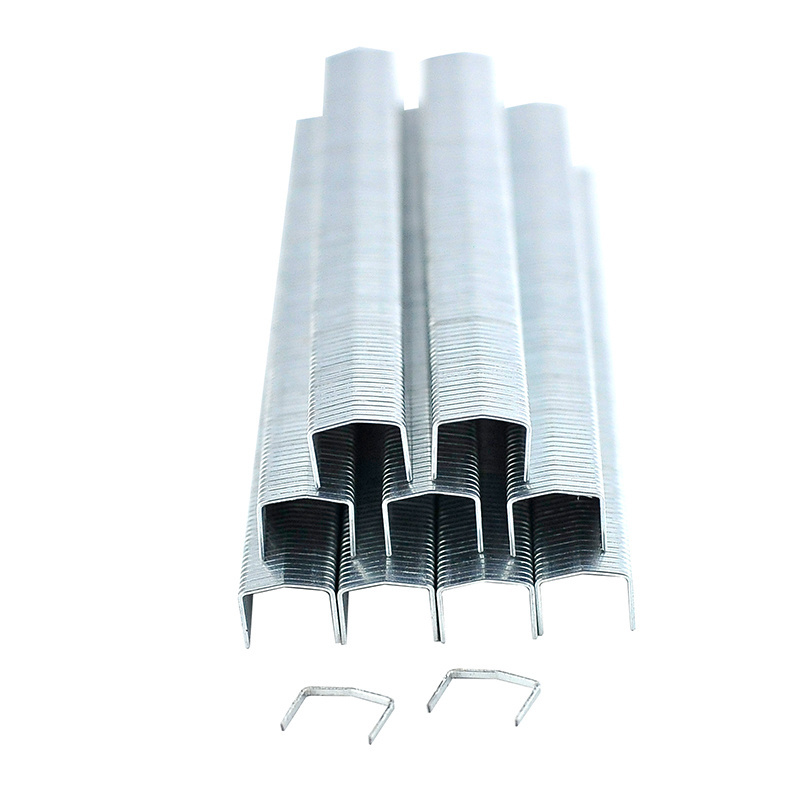 Stcr5019 Series 20 Gauge 11.60mm Crown 12mm Furniture Staple