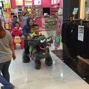 China Hansel plush animal go cart walking bike for adults ride on animal toy racing cars game wholesale