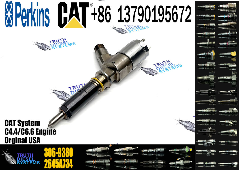 Common Rail Injector 306-9380 306-9390 310-9067 2645A751 320-0655 320-0688 2645A746 2645A749 2645A747 10R-7671