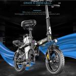 Rechargeable Lithium Ion E-Bike Battery Deep Cycle IP65 Waterproof
