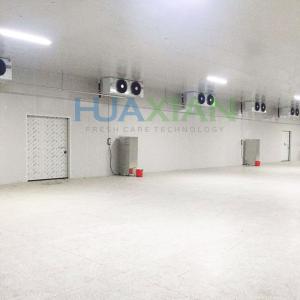 China -40 Degree Celcius Air Cooling Frozen Food Deep Freezer wholesale