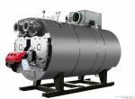 Large Industrial Oil Boiler Explosion Proof Low Pressure Large Radiate Heating