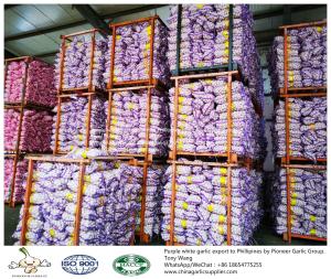 China Garlic to Philippines with mesh bag wholesale