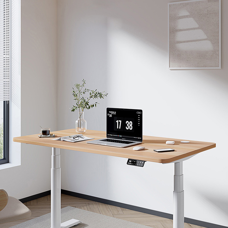 Double Motor Electric Student Writing Desk Height Adjustable Standing Table for Kids