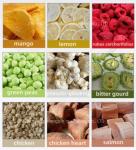 Silicone Oil Heating Commercial Freeze Dried Fruit Machine for Meat Fish