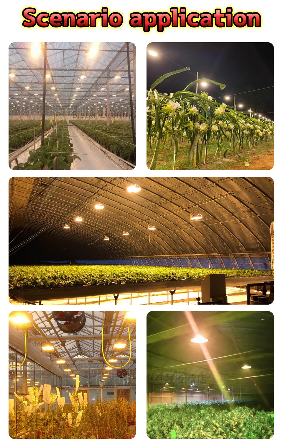 High Lumen High Power Cob LED Lamp Beads High Conductivity Aluminum