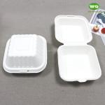 6 Inch (547ml) Biodegredable Sugarcane Clashmell -High Quality100% Biodegradable
