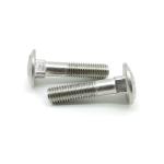 DIN603 A2-70 Stainless Steel Screw Square Neck Carriage Bolts
