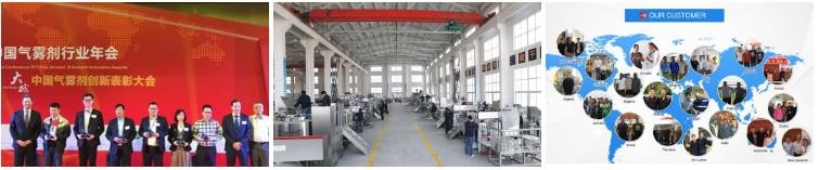 Stainless Steel Aerosol Automatic Filling Production Line For Facial Mask