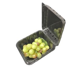 China Strawberry Plastic Packaging Boxes PET Clamshell Containers wholesale