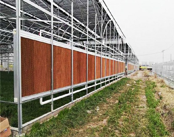 Long Use Time Chicken Farm High Water Resistant Outdoor Cooling System for Chicken House Evaporative Cooling Pads