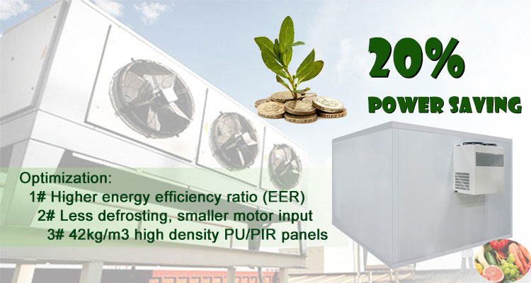 Commercial Industrial Container Cold Room Icemedal Freezer Storage B1 Engineering Grade