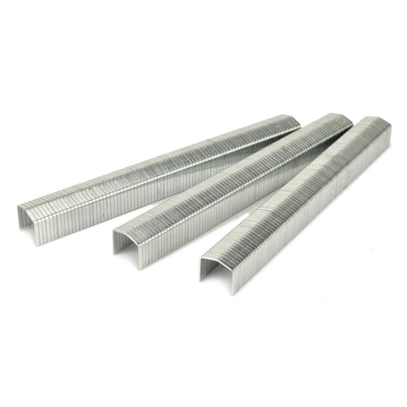 Stcr5019 Series 20 Gauge 11.60mm Crown 12mm Furniture Staple