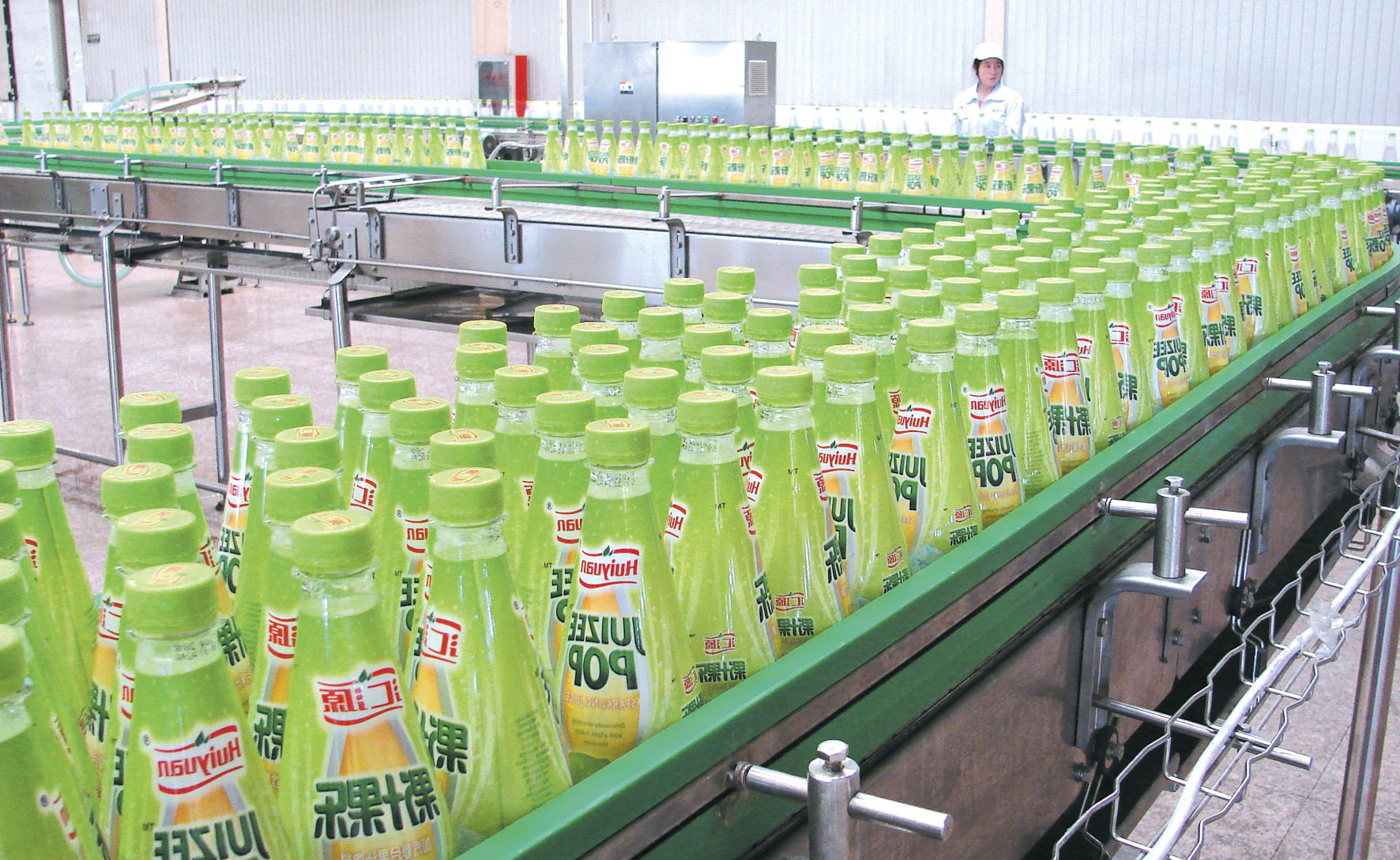 PET Plastic Bottle Drinking 220V Mineral Water Production Line
