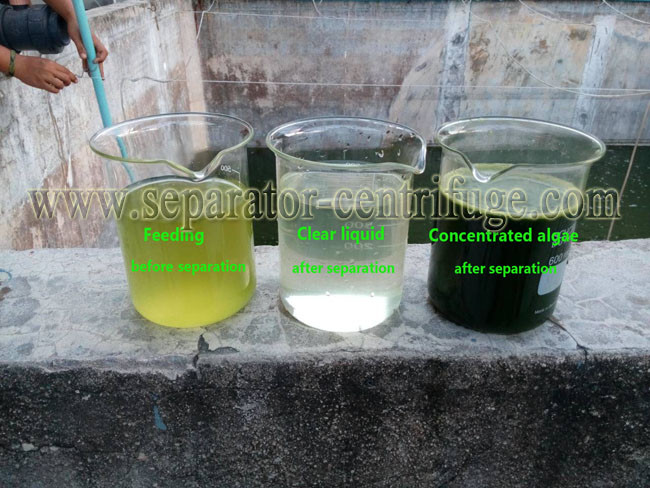 2 Phase Microalgae Separator - Centrifuge High Speed Disk Centrifuge