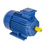 YE2 Series AC Induction 1440rpm 380V 415V 440V 460V IE2 2.2kw 3hp Three Phase
