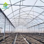 Commercial Customized Multi Span Agricultural Film Poly Tunnel Vegetable