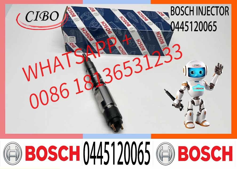 Common Rail Fuel Injector Diesel Injectors 04290988 0986435559 0445120065