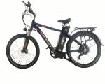 48v 20ah 26 Inch Electric Bike Two Wheel Drive City Bike Arrow 9