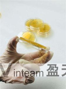 China Chemical Deep Petri Dish , Borosilicate Petri Dish Convenient Bottom Grid wholesale