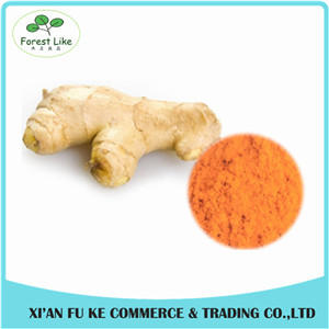Natural Colorant Ginger Extract Powder 10% 20% 95% 98% Curcumin