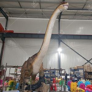 China Lifelike Real Animatronic Dinosaur Types Long Neck For Museum wholesale