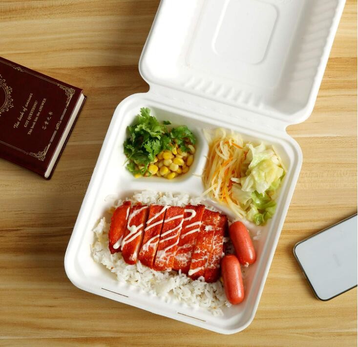 Biodegradable Sugarcane Bagasse Clamshell 10 Inch 3 Compartment Food Container
