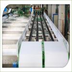 Automatic Electronic Fruit Washing And Waxing Machine 5MT/H