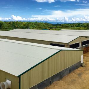 China OEM Welding Prefabricated Poultry House Steel Sheet Glass Wool Insualtion wholesale