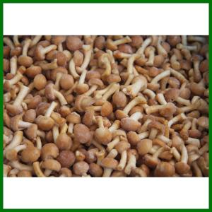 China Frozen Pholiota Nameko Mushroon Whole wholesale