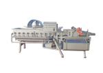 50HZ 4KW 1000KG/H Vegetable Vortex Cleaning Machine