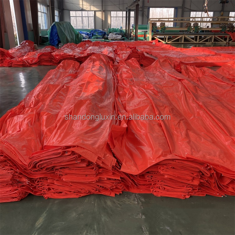 Waterproof and Tear Resistant Pe Tarpaulin 20x30 30x50 40x60 Sizes for Multiple Uses