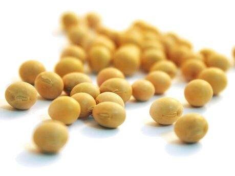 High quality soybean extract Phosphatidylcholines (PC) 50% powder