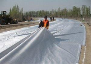 China 300g Needle Punched Geotextile wholesale