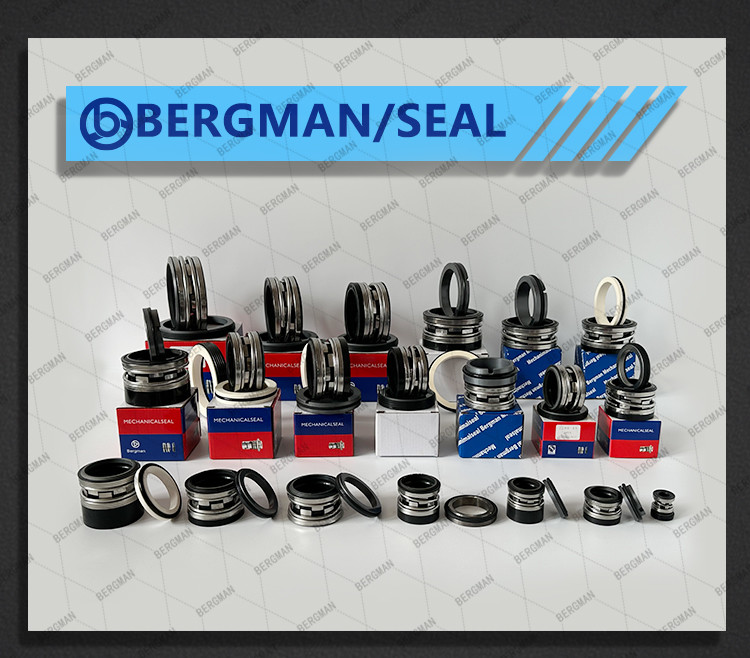 BERGMAN Replaces John Crane 2100-S 12mm-100mm G60 G4 G6 G9 G13 G16 BS Bo BP Pump Mechanical Seal