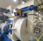 Large 3t/H Wood Pellet Mill Machine 200KW Biomass Pellet Production Mill